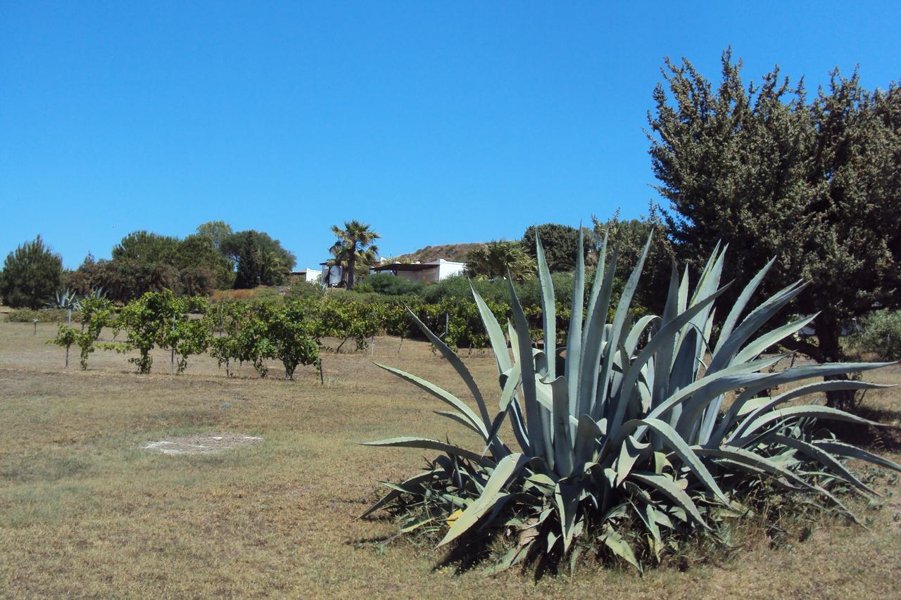 Villa Kos Mastichari  Buitenkant foto