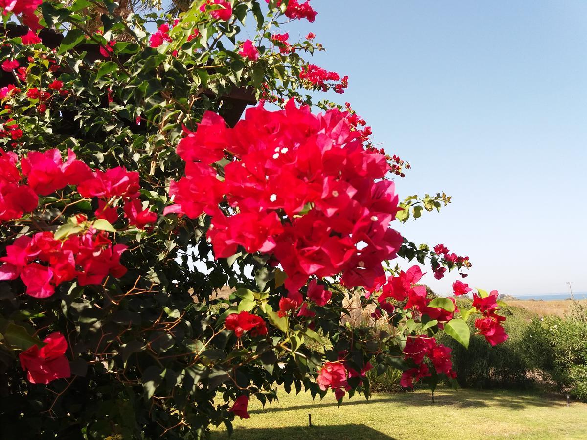 Villa Kos Mastichari  Buitenkant foto