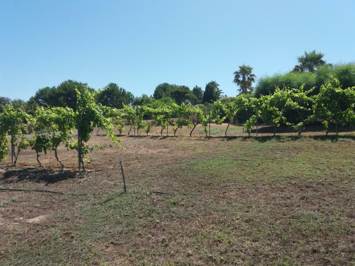 Villa Kos Mastichari  Buitenkant foto